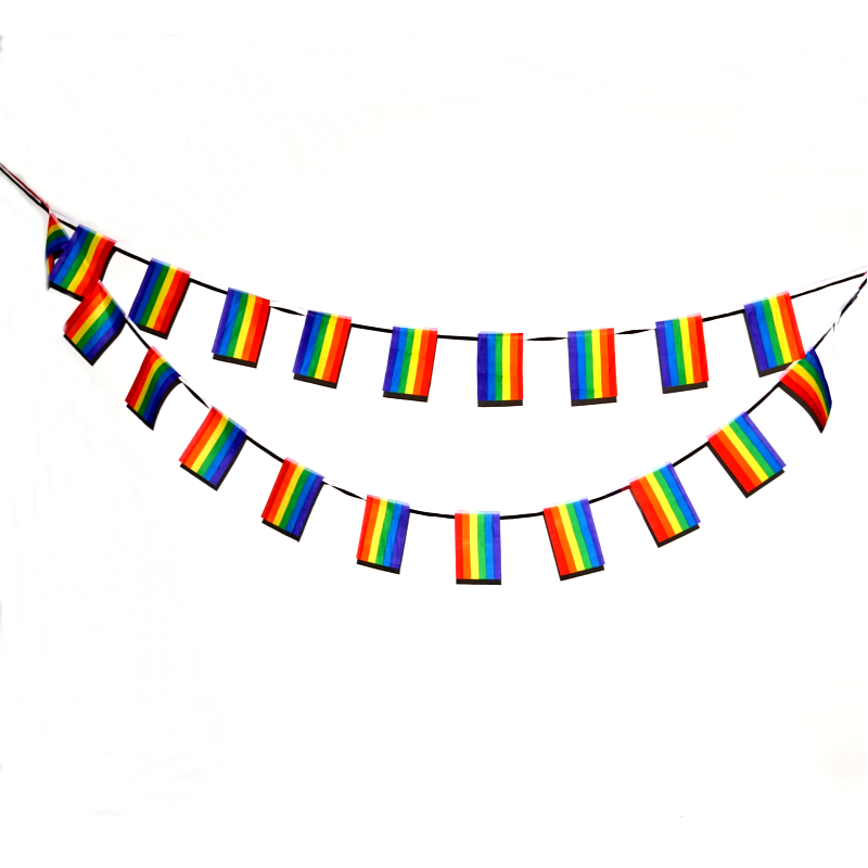 Pride flag bunting - Mini (6,6m) - Top level - House of Nord