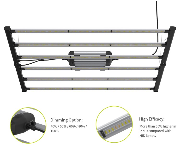 Professional Grow Professional Grow LED 645W foldable Professional Grow Mammoth Lite 40 package 150W HPS, NU med