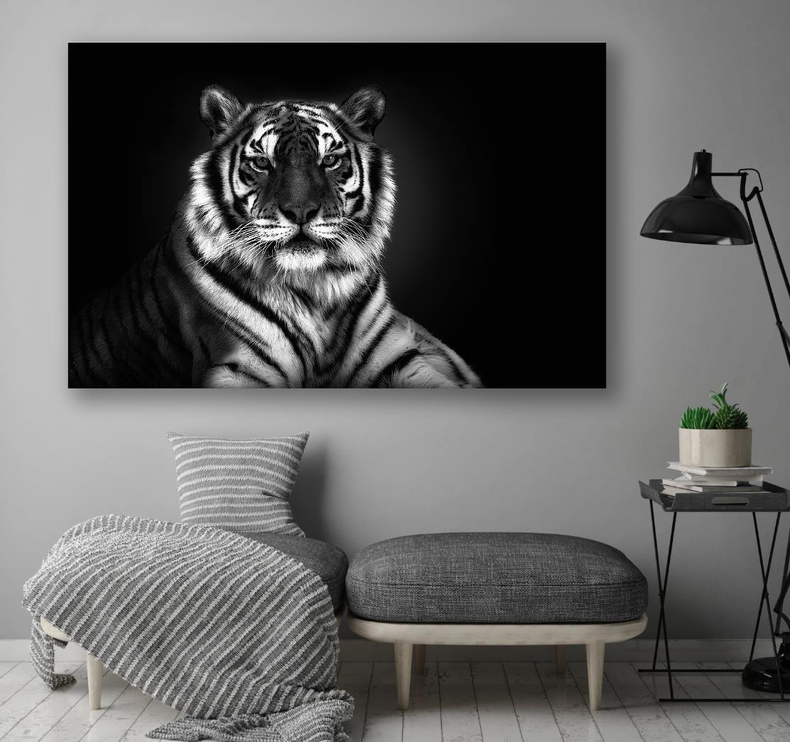 Schalldampfung Wall Art White Tiger Canvasbutik De