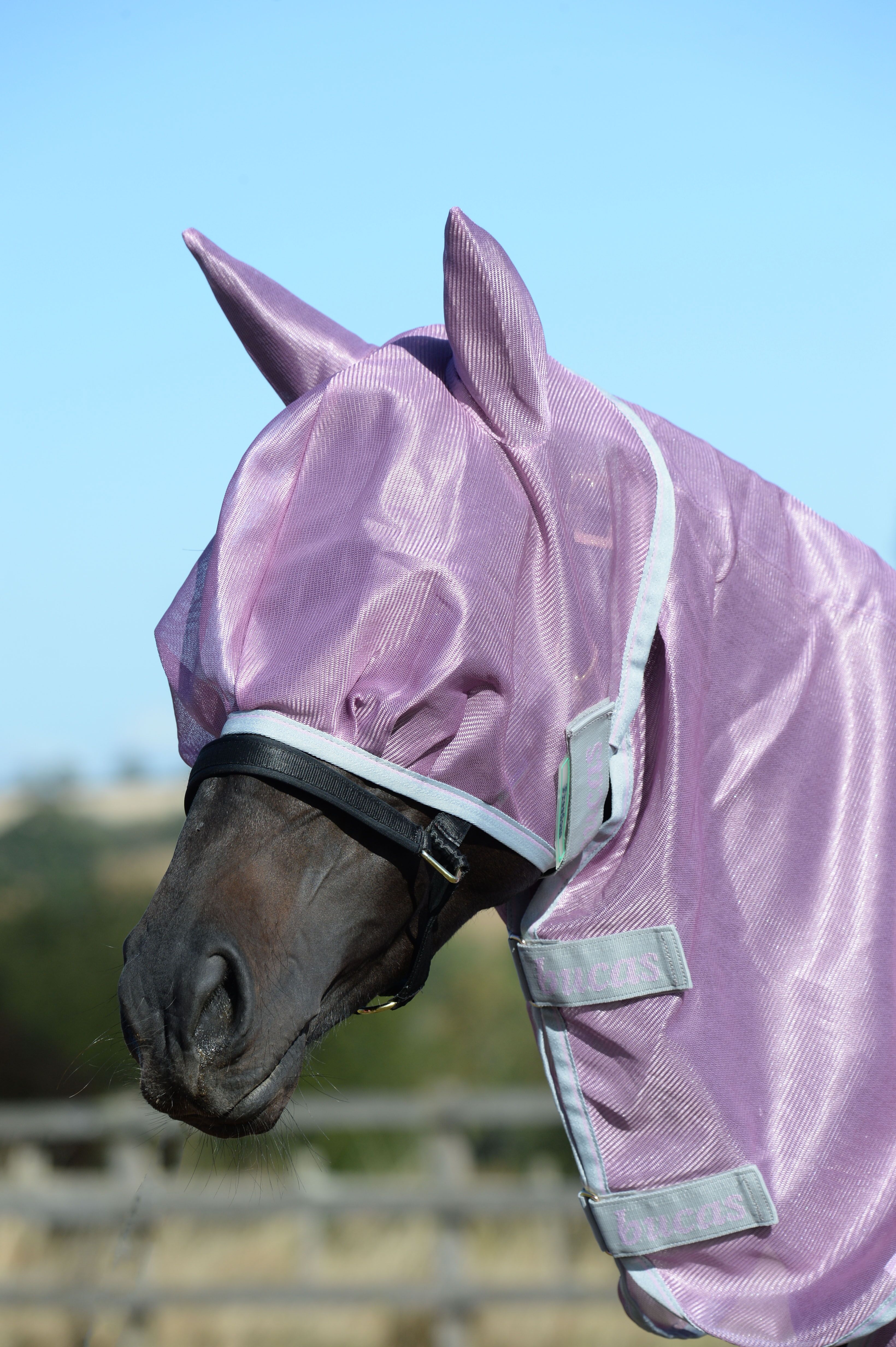 Bucas Freedom Turnout Light Full Neck Mauve Bucas Freedom Turnout Light Full Neck Mauve