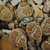 Lithops julii v. fulleri 'brunnea' C 179 (10 km NE of Pofadder, South Africa)