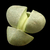 Pleiospilos nellii