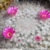Mammillaria woodsii