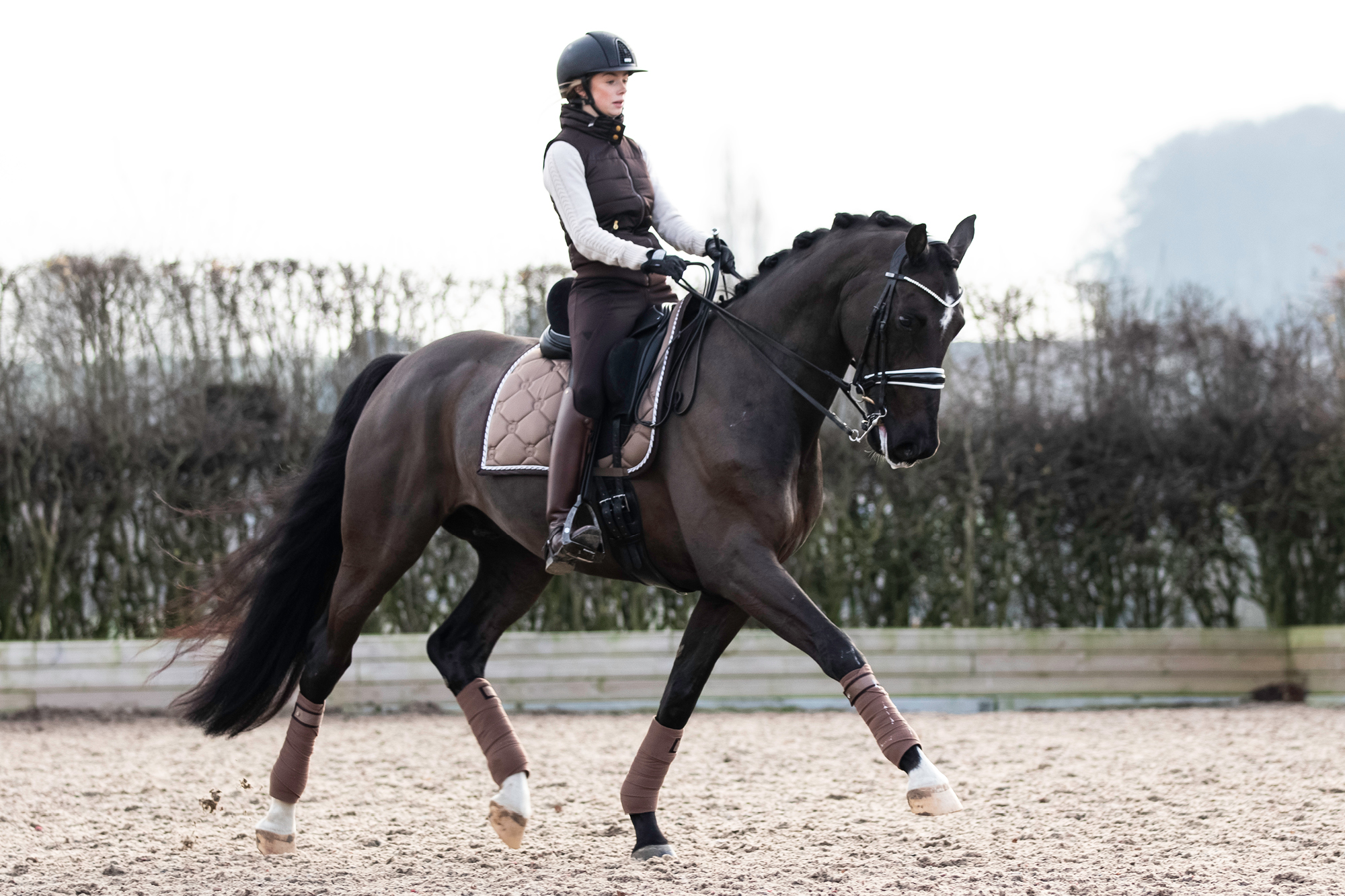 equestrian polos